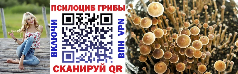 Галлюциногенные грибы мухоморы  omg онион  Тара 