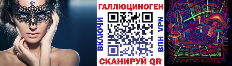 Галлюциногенные грибы Psilocybe Тара